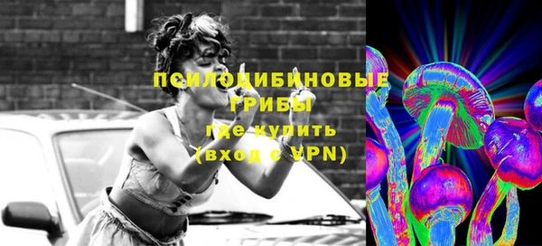 дурь Зеленокумск