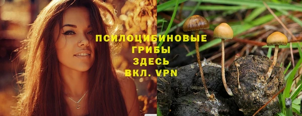 дурь Зеленокумск