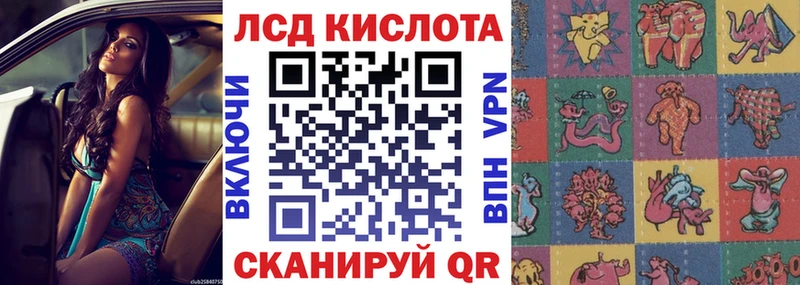 Купить где  Гудермес  Марки NBOMe 1,5мг 