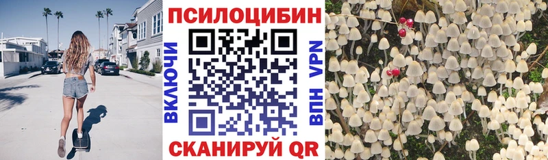 Псилоцибиновые грибы Psilocybe  Купить где  Гудермес 
