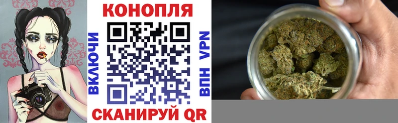 Купить где  Гудермес  Конопля White Widow 